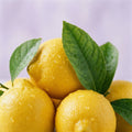 Citrus extract ingredient